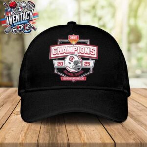 South Carolina Gamecocks NCAA Cheez-It Cirrus Bowl Champions 2024-25 In Orlando Florida Classic Hat-Cap